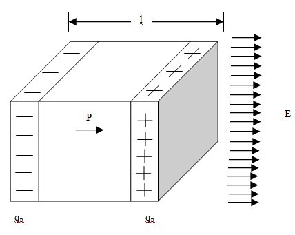 Polarization Vector